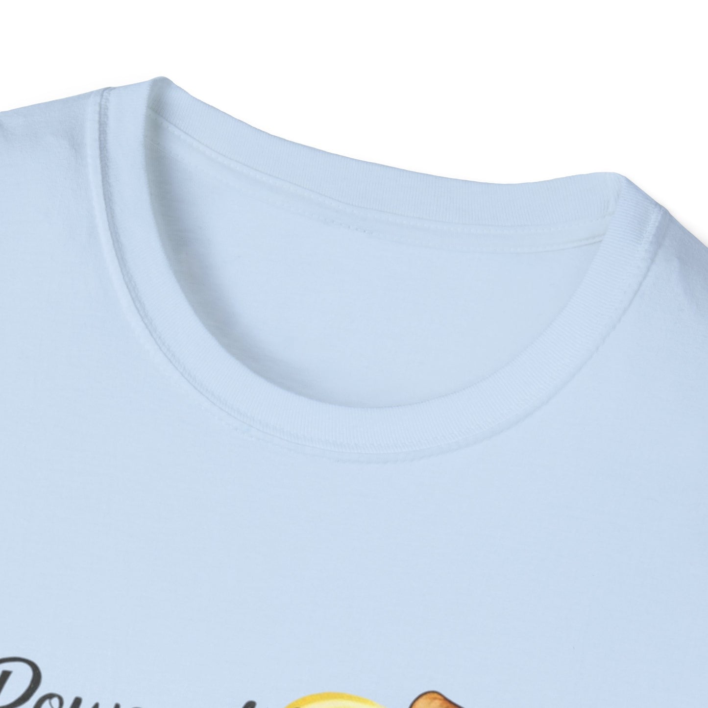 Funny Gym Apparel Unisex Softstyle T-Shirt, Pizza and Protein Shakes Tee Shirt, Workout Shirt, Activewear Top, Fitness Tee, Gift for Gym